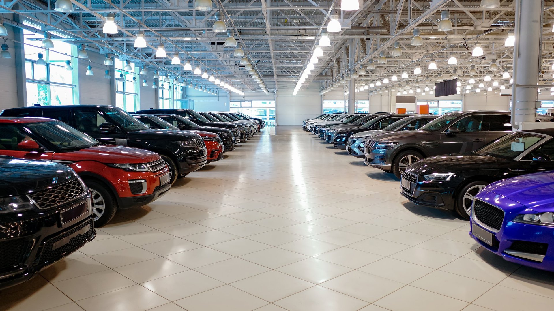 Spacious modern car showroom with multiple vehicles